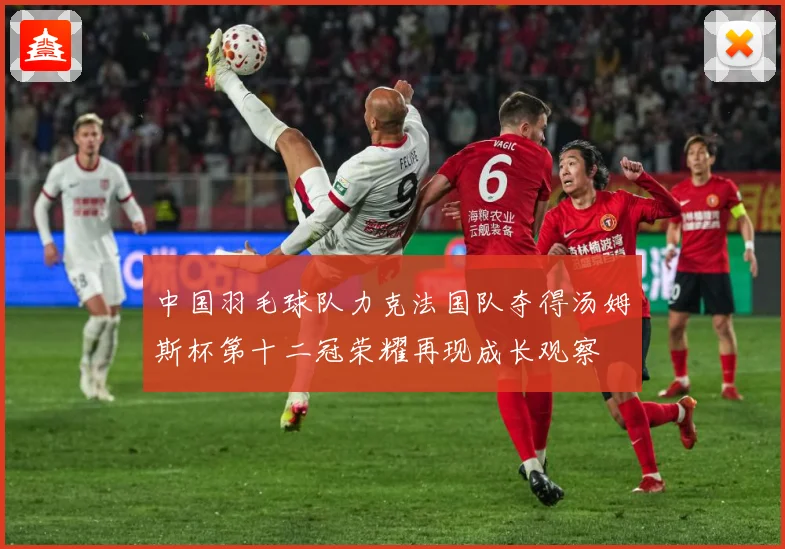 中国羽毛球队力克法国队夺得汤姆斯杯第十二冠荣耀再现成长观察
